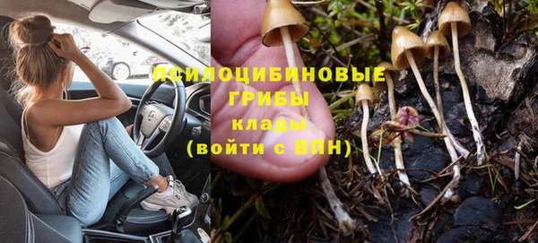 Альфа ПВП Алексин